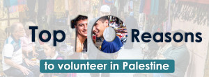 Top 10 Reasons to Volunteer in Palestine