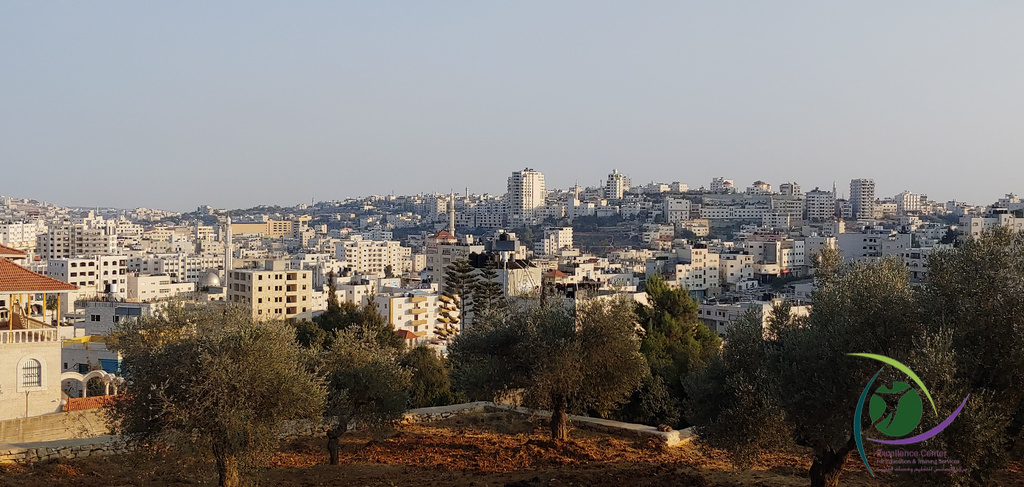 The Oak of Ibrahim in Hebron