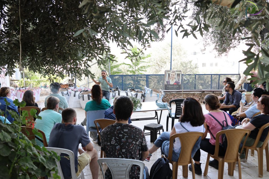 Summer Human Rights Volunteer Opportunities in Palestine