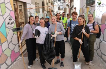 Volunteer Programs for International Students in Palestine