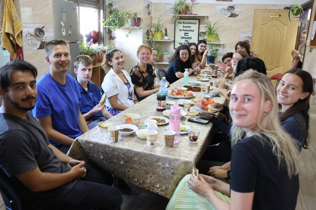 Volunteer Programs for International Students in Palestine

