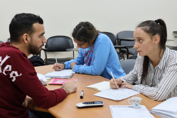 9 Best Programs for Learning Levantine Arabic Dialect