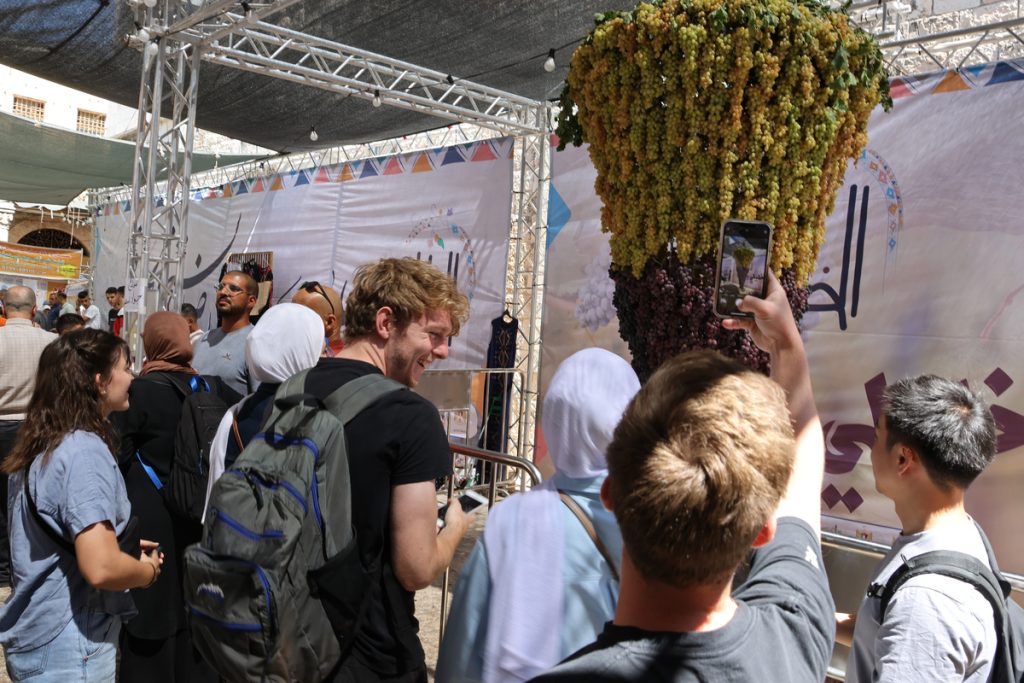 Best Volunteer and Internship Organizations in Palestine