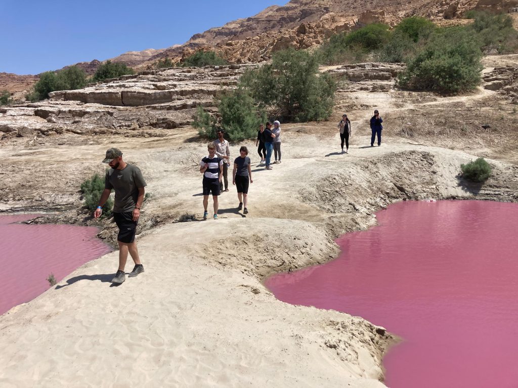 Intensive Arabic Programs in Amman