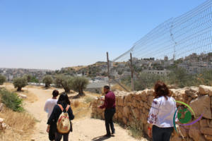 Volunteer and Study Arabic in Palestine 194