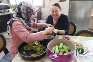 Volunteer and Study Arabic in Palestine 57